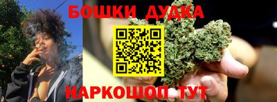 индика Краснокаменск